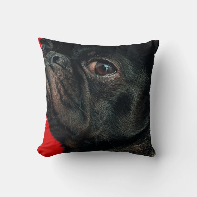rojo dog cushion (Front)