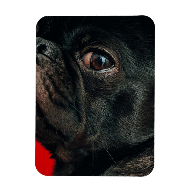 rojo dog magnet (Vertical)
