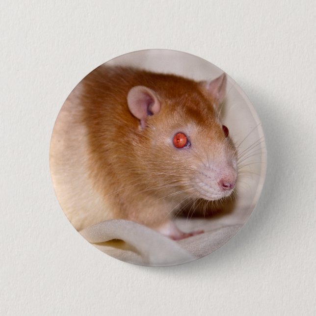 Rolando Badge (Front)