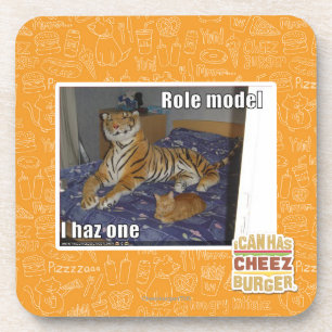 Role Model, I haz one Coaster