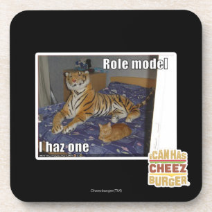 Role Model, I haz one Coaster