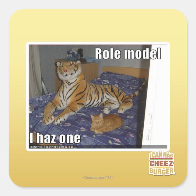 Role Model, I haz one Square Sticker (Front)