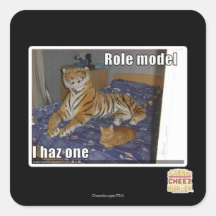 Role Model, I haz one Square Sticker