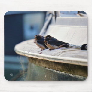 Rolled birds on a line in the port mouse pad
