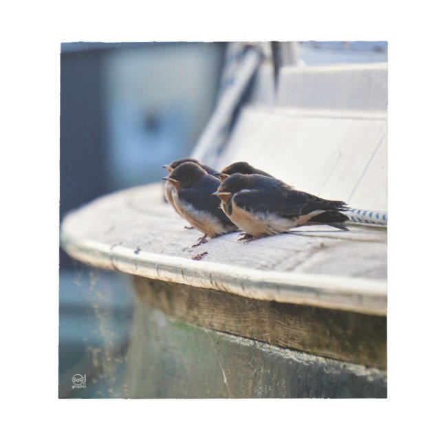 Rolled birds on a line in the port notepad (Front)