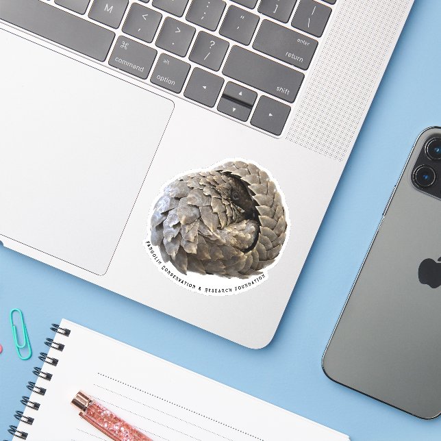 Rolled Pangolin PCRF Sticker (Laptop w/ iPhone)