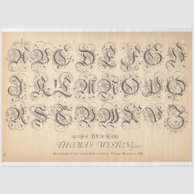 Rollerball Decoupage Paper (Front)