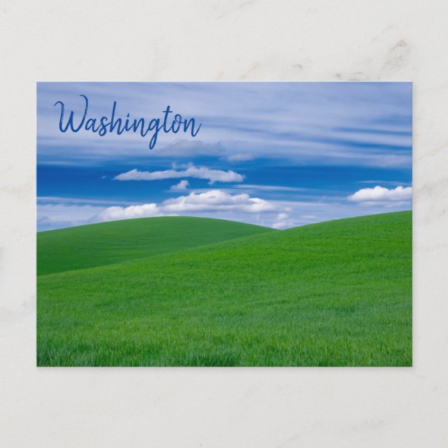 Rolling Green Wheat Fields of the Palouse Postcard (Front)