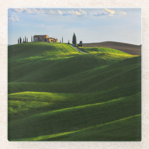 Rolling Hill Near Asciano, Tuscany Glass Coaster