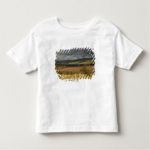Rolling Hills And Mountains Under A Cloudy Sky Toddler T-Shirt