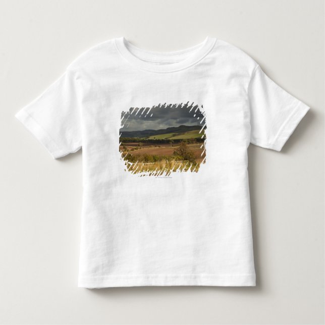 Rolling Hills And Mountains Under A Cloudy Sky Toddler T-Shirt (Front)