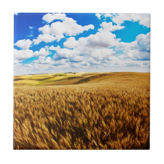 Rolling hills of ripe wheat tile (Front)