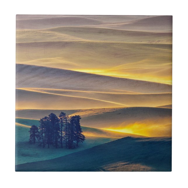 Rolling Hills of Wheat at Sunrise | WA Ceramic Tile (Front)