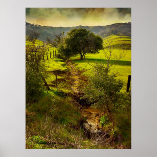 Rolling Oaks Print