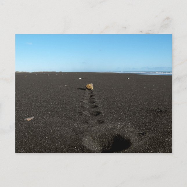 Rolling Stone at the Beach Postcard (Front)