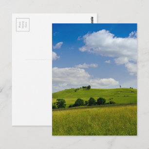 Rolling Summer Landscape Postcard