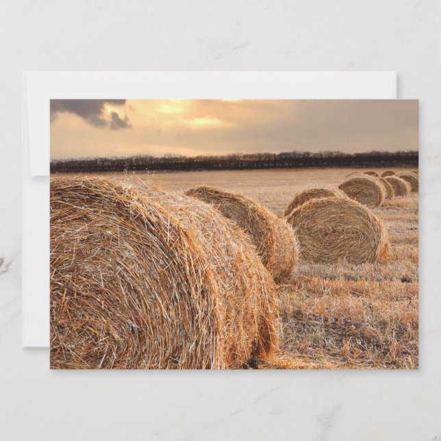 Rolls of Hay Invitation (Front)