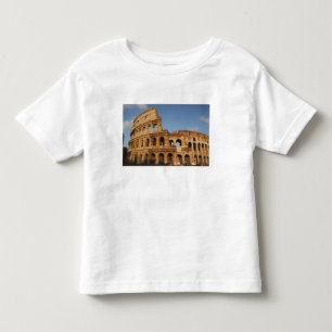 Roman Art. The Colosseum or Flavian 4 Toddler T-Shirt