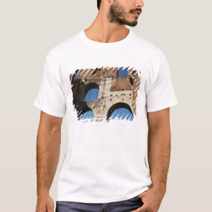 Roman Art. The Colosseum or Flavian 5 T-Shirt