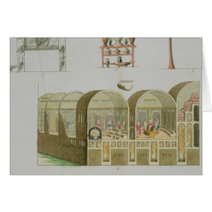 Roman Baths, plate from 'The History of the Nation