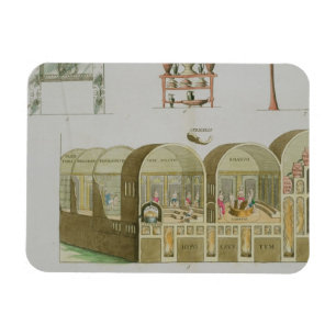 Roman Baths, plate from 'The History of the Nation Magnet