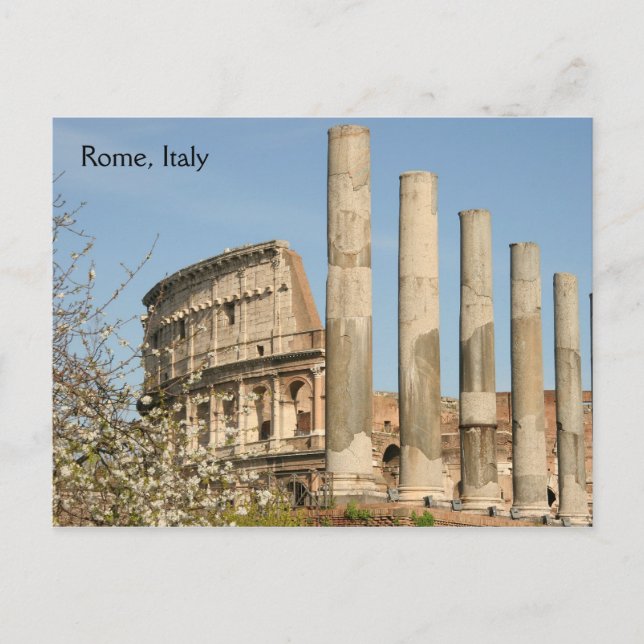 Roman Coliseum Postcard (Front)
