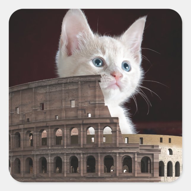 roman kitty square sticker (Front)