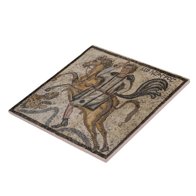 Roman Mosaic Ceramic Tile (Side)