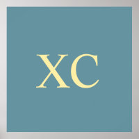 Roman Numeral 90 Poster