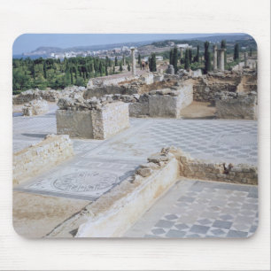 Roman ruins of the port of Emporion Mouse Pad