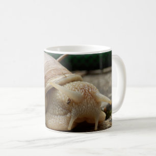 Roman Snail Bug Mug