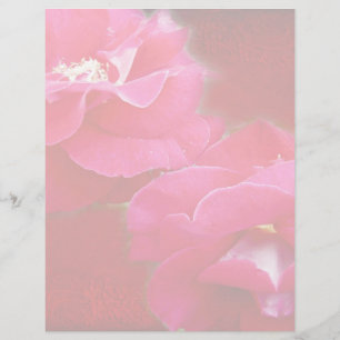 Romance and Red Roses