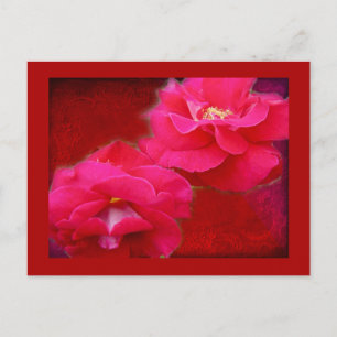 Romance and Red Roses Postcard