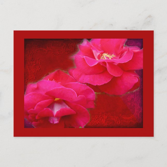 Romance and Red Roses Postcard (Front)