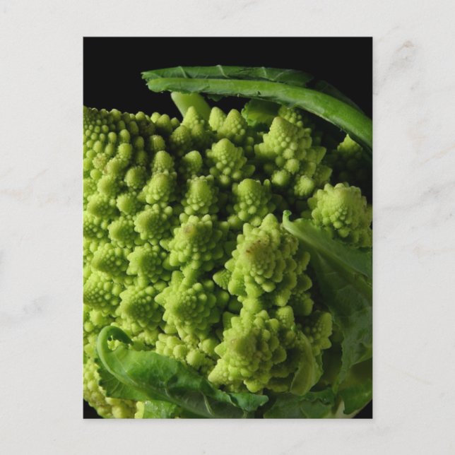 Romanesco Broccoli Fractals Postcard (Front)