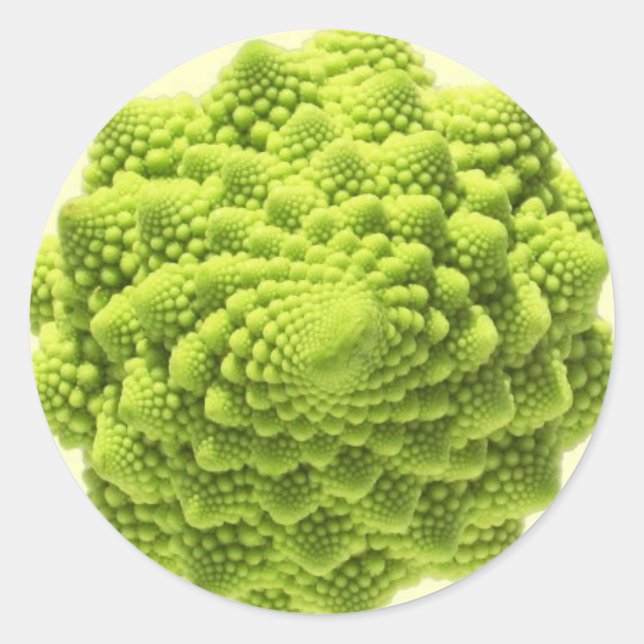 romanesco-phi classic round sticker (Front)