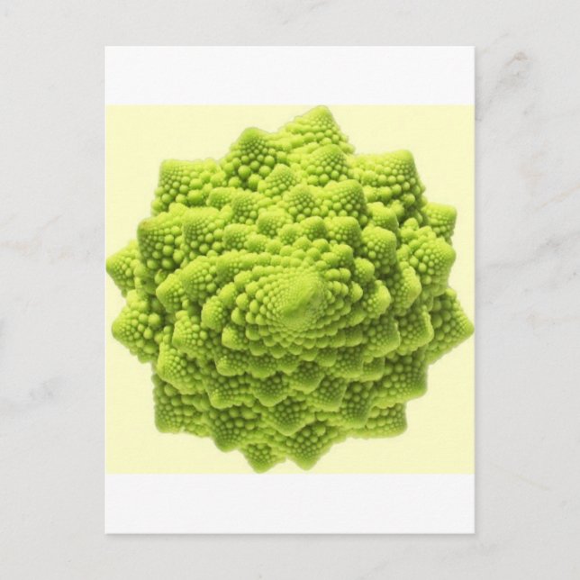 romanesco-phi postcard (Front)