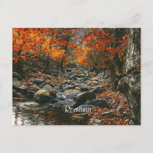 Romania landscape photograph postcard