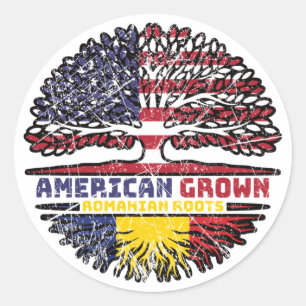 Romania Romanian US American USA United States Classic Round Sticker