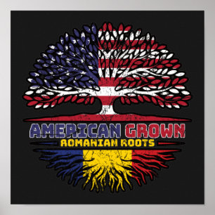 Romania Romanian US American USA United States Poster