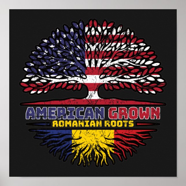 Romania Romanian US American USA United States Poster (Front)