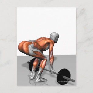 Romanian Deadlift 2 Postcard