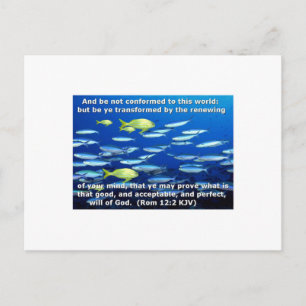 Romans 12:2 postcard