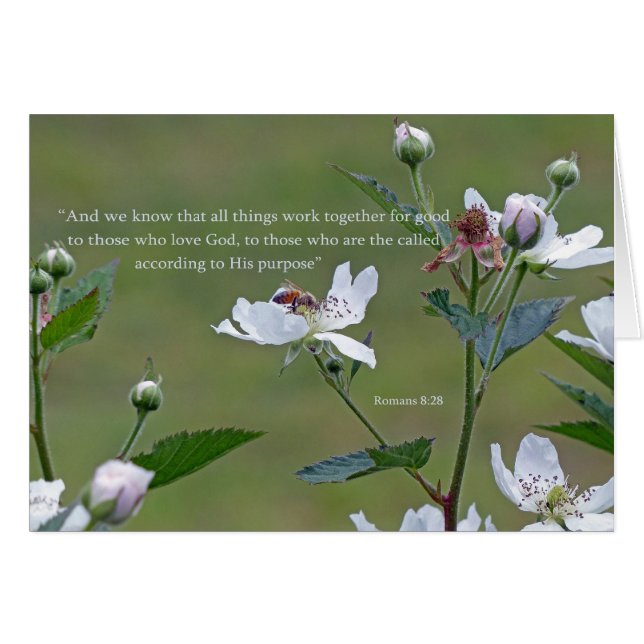 Romans 8:28 (Front Horizontal)