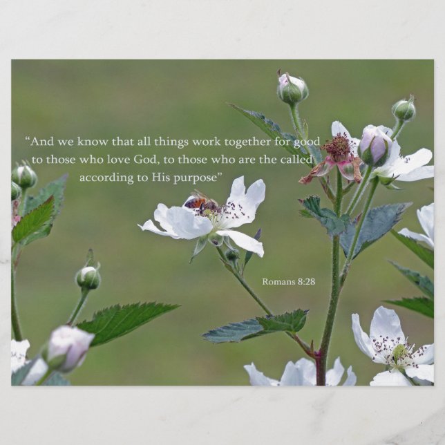 Romans 8:28 (Front)
