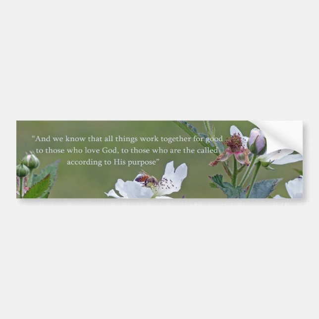 Romans 8:28 bumper sticker (Front)