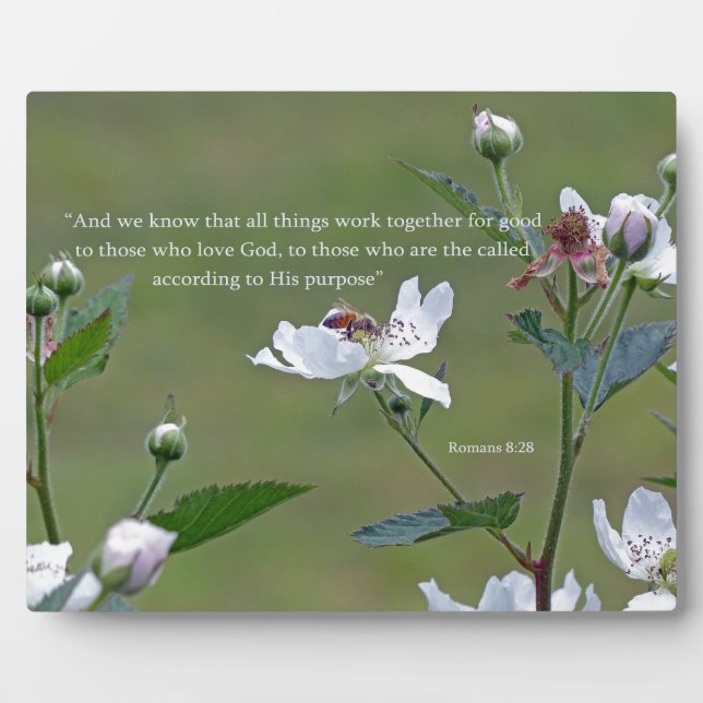 Romans 8:28 plaque (Front)