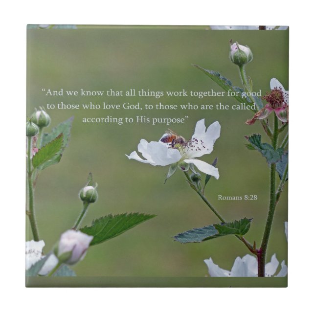 Romans 8:28 tile (Front)