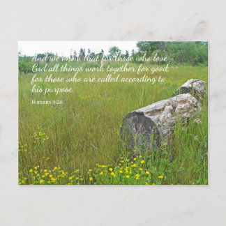 Romans 8:28 Tranquil Scene Postcard