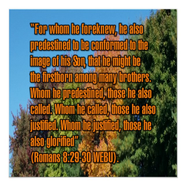 Romans 8:29-30 WEBU Poster (Front)